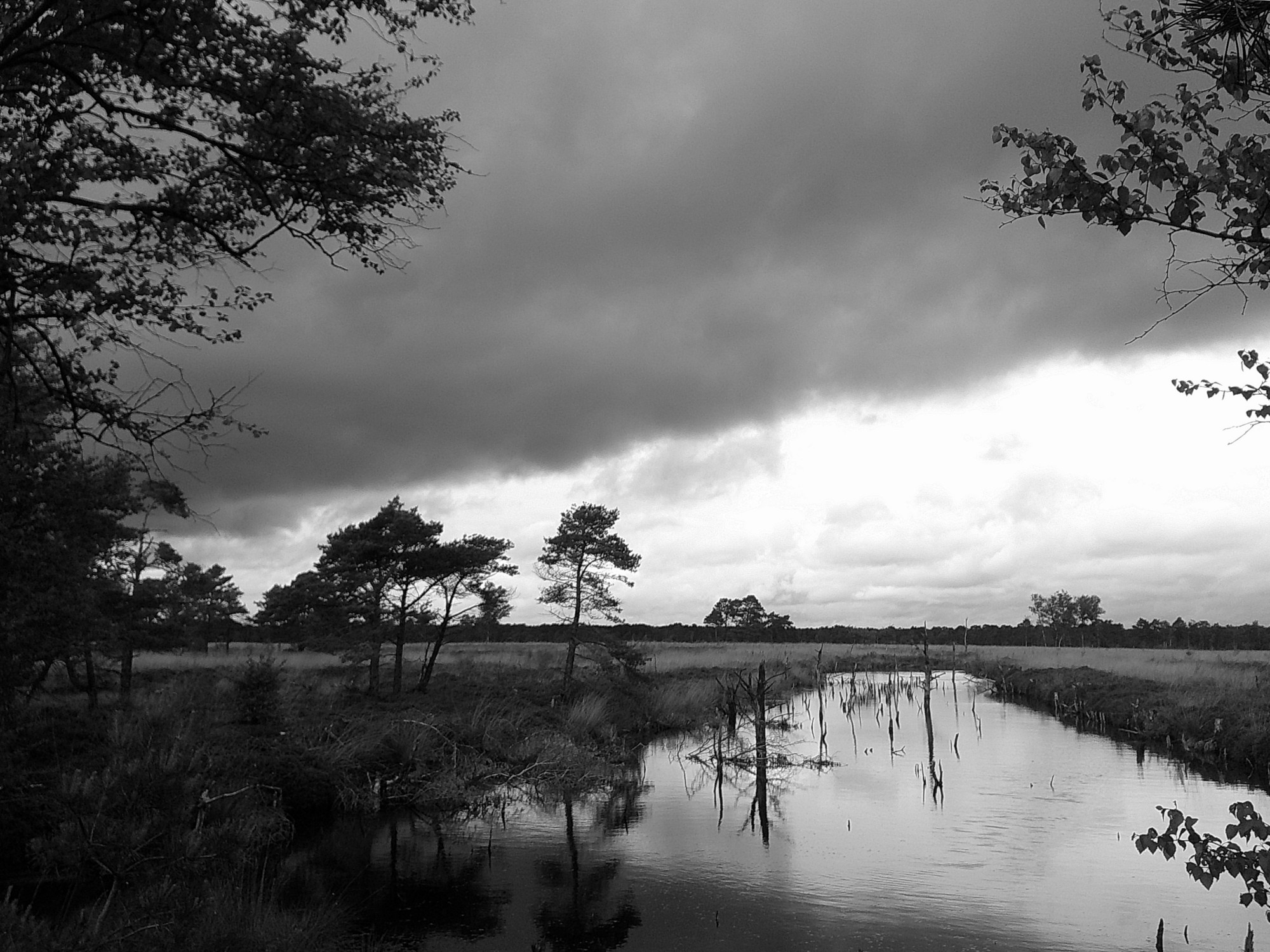 Mit der Camp Snap einmal ums Moor