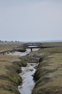 Eine Landschaft mit einem schmalen Wasserlauf, der durch ein trockenes, grasbewachsenes Gebiet fließt. Im Hintergrund sind zwei Holzbrücken sichtbar, die über den Wasserlauf führen.