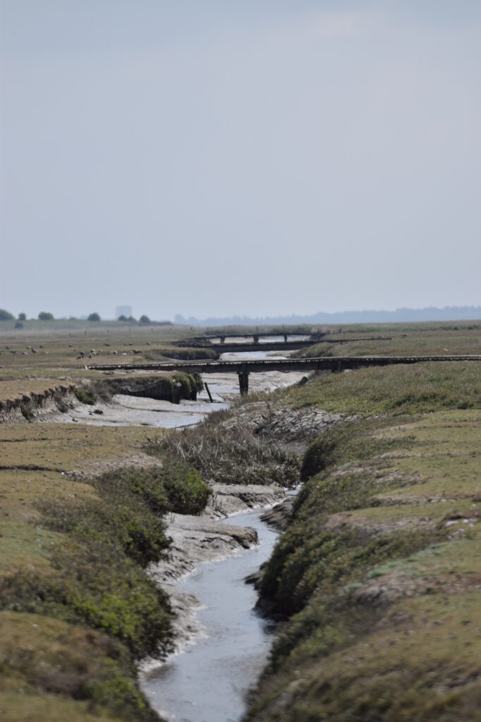 Eine Landschaft mit einem schmalen Wasserlauf, der durch ein trockenes, grasbewachsenes Gebiet fließt. Im Hintergrund sind zwei Holzbrücken sichtbar, die über den Wasserlauf führen.