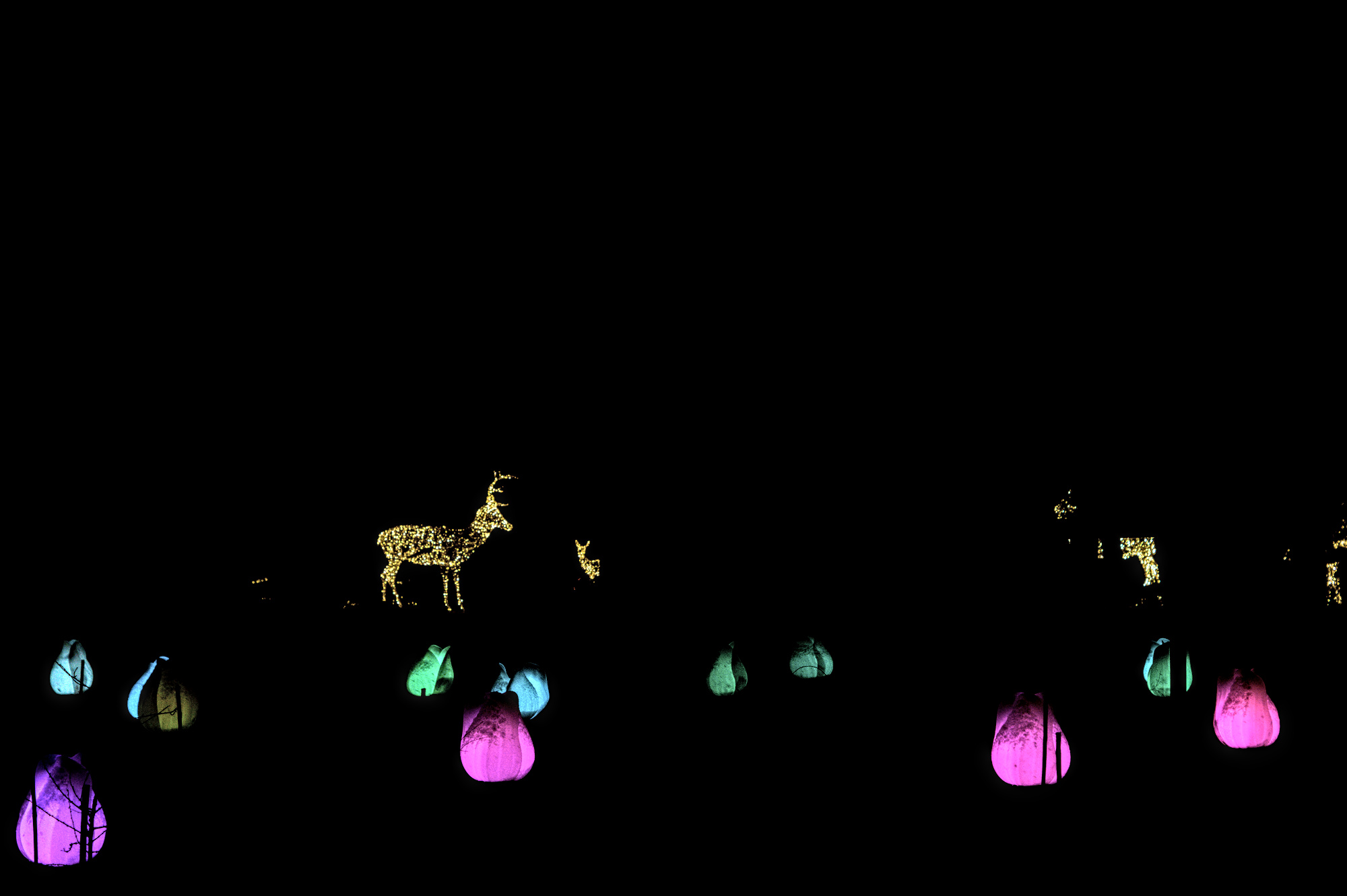 Eine Lichtinstallation auf einer Wiese. Leuchtende Blumen, ein Hirsch und ein paar Rehe