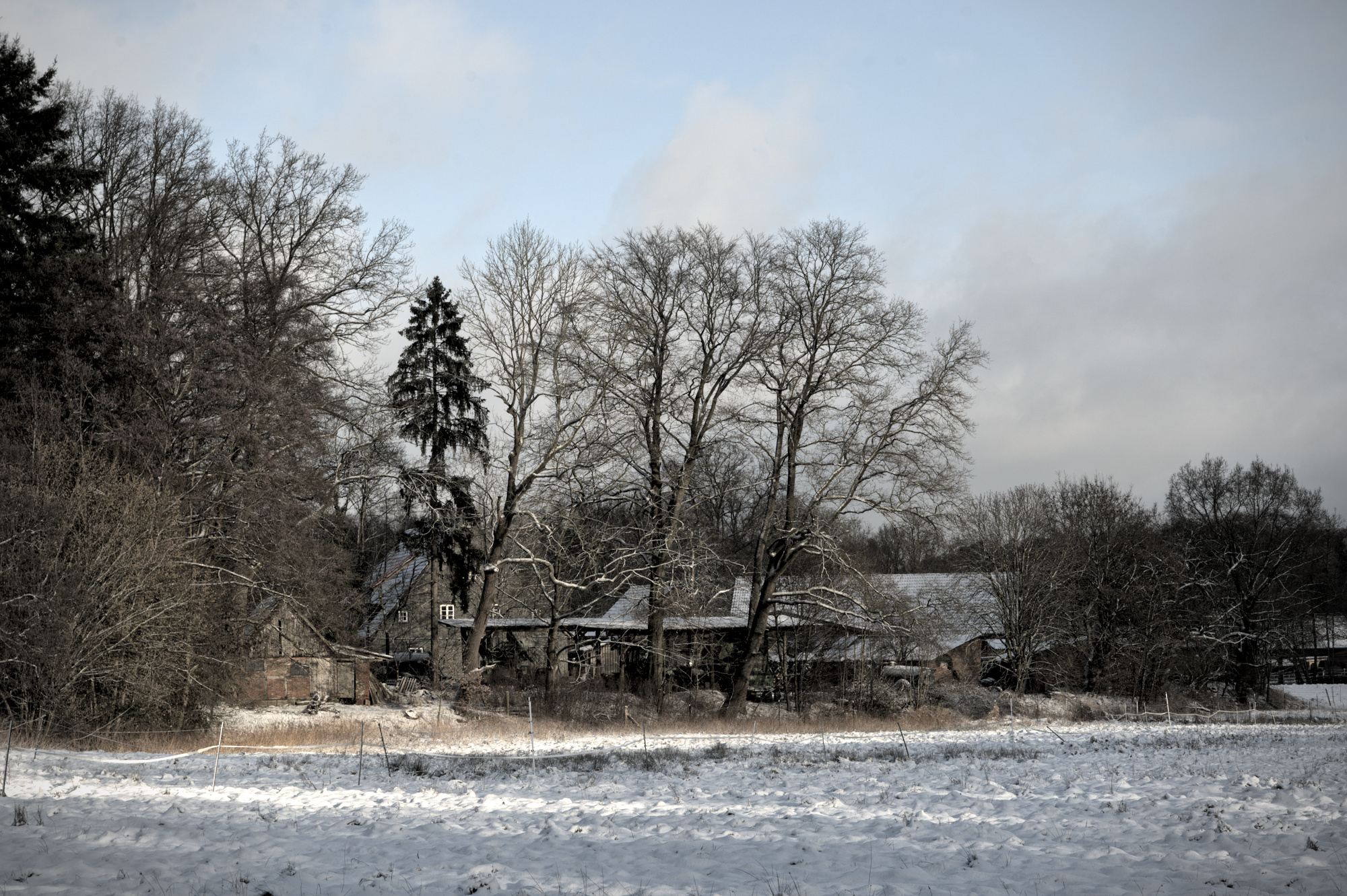 Eine verschneite Winterlandschaft. Einige Bäume. Dahinter ein paar ältere Holzhäuser von einem Bauerhof